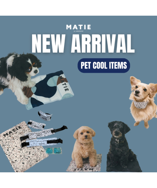 【NEW ARRIVAL】夏の暑さから愛犬を守る犬用クールアイテムが新登場！