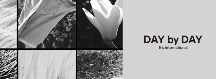 I.T.'S. international