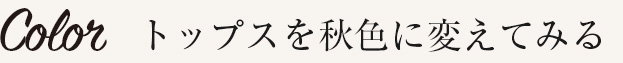 トップスを秋色に変えてみる