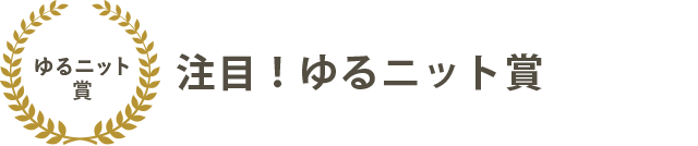注目！ゆるニット賞ゆったりタートルニット