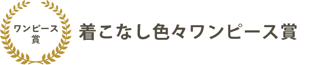 着こなし色々ワンピース賞 進化！カットソーワンピ
