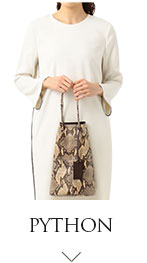 パイソン