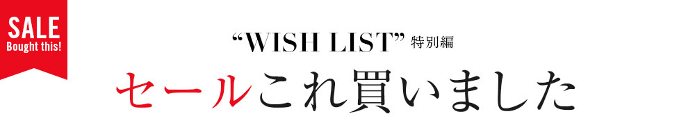 2019-20冬セールこれ買いました〜WISH LIST特別編〜