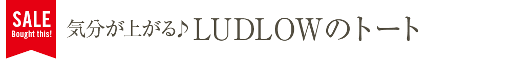 気分が上がる♪LUDLOWのトート