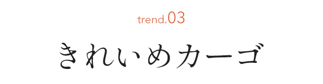 きれいめカーゴ