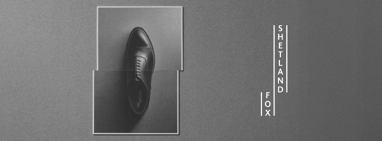SHETLAND FOX / シェットランドフォックス